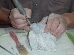 Sculpteur Sur Steatite